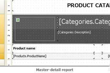 FastReport .Net预览：master-detail report