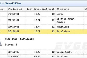 jQuery EasyUI预览：DataGrid - DetailView
