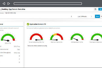 AppPulse Diagnostics預(yù)覽：應(yīng)用服務(wù)器摘要