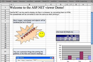 TMS Flexcel Studio for .NET预览：xlsinbrowser