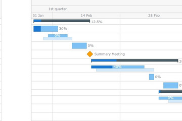 AnyGantt预览：CSV Data
