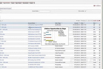 Cognos Mashup Service预览：