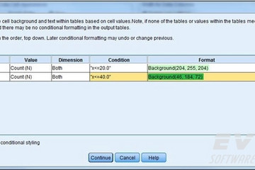 SPSS Statistics Base預(yù)覽：style-output-ui