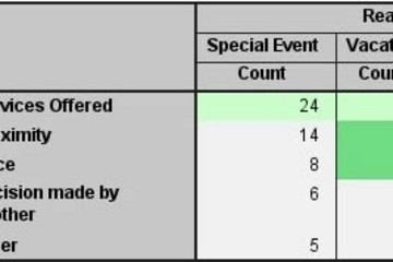 SPSS Statistics Base预览：style-output2