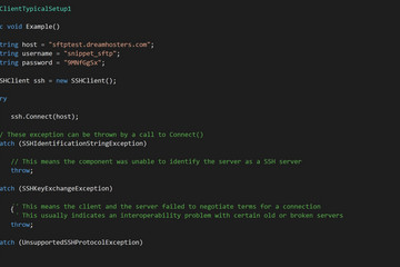 Xceed Data Manipulation Suite预览：Xceed-Ftp-Net-Screenshot
