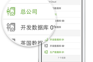 Navicat iOS预览：