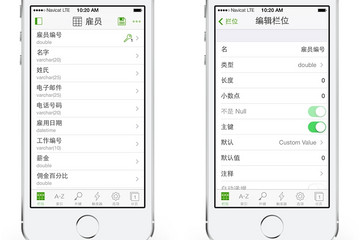 Navicat iOS预览：