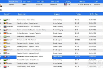 Xceed Ultimate Suite预览：Screenshot-DataGrid