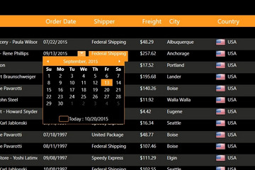 Xceed Ultimate Suite预览：datagrid_screenshot