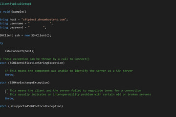 Xceed SFTP for .NET预览：Xceed-SFtp-Net-Screenshot