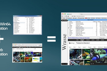 Thinfinity® VirtualUI™预览：Thinfinity_Virtual_UI_HTML5_Sum