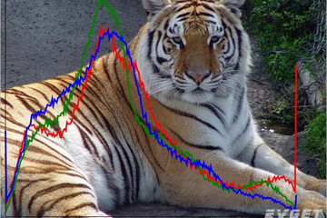 MindFusion.Charting for WinForms预览：background_image