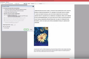 Bytescout PDF To HTML SDK预览：4