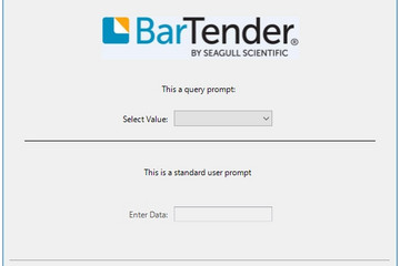BarTender预览：null