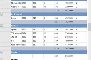 TMS FNC UI Pack預覽：TMSFNCGridgrouping