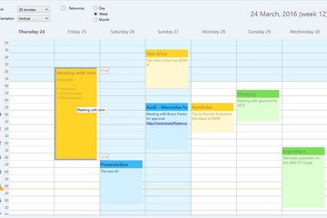 TMS FNC UI Pack預覽：TTMSFNCPlanner1