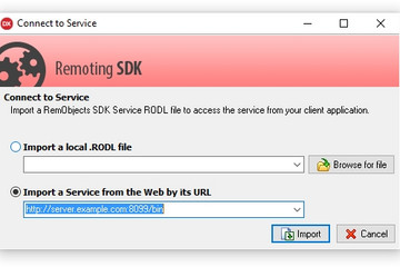 Remoting SDK预览：Remoting SDK