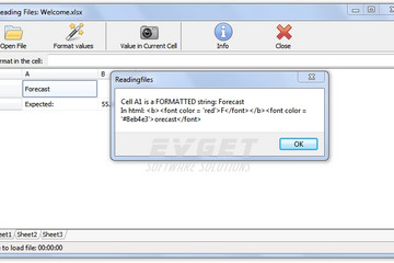 TMS FlexCel for VCL & FireMonkey预览：page03
