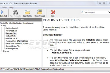 TMS FlexCel for VCL & FireMonkey预览：page02