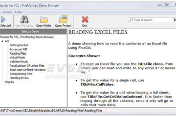 TMS FlexCel for VCL & FireMonkey預(yù)覽：page02