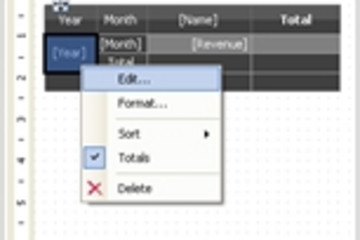 FastReport.Mono预览：FASTREPORT.MONO