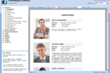 FastReport.Mono預(yù)覽：FASTREPORT.MONO