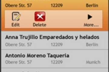 Resco MobileForms Toolkit预览：