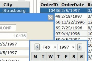 DbNetSuite 预览：grid_edit_dialog_thumb