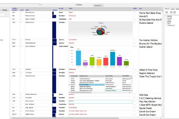 TeeGrid for VCL/FMX預覽：gridchart