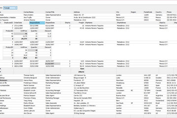 TeeGrid for VCL/FMX預覽：TeeGrid_Hierarchical