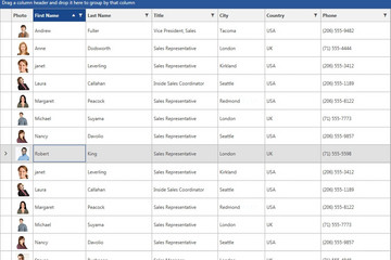 Telerik UI for WPF预览：