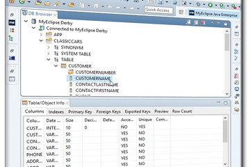 MyEclipse預(yù)覽：DatabaseDev