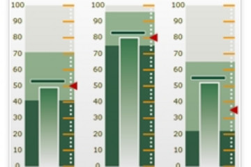 Nevron Gauge for SSRS预览：Gauge for SSRS 4