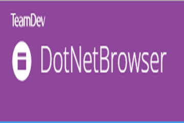 DotNetBrowser示例（1）—创建具有不同上下文的两个浏览器