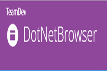 DotNetBrowser示例（3）—如何獲取框架的選定文本或HTML