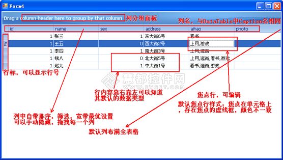 DevExpress GridControl使用教程之表格展示