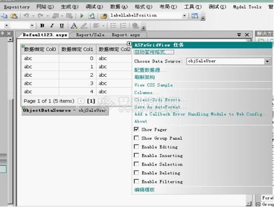 如何利用ASPxGridView里的主从报表创建列表页面