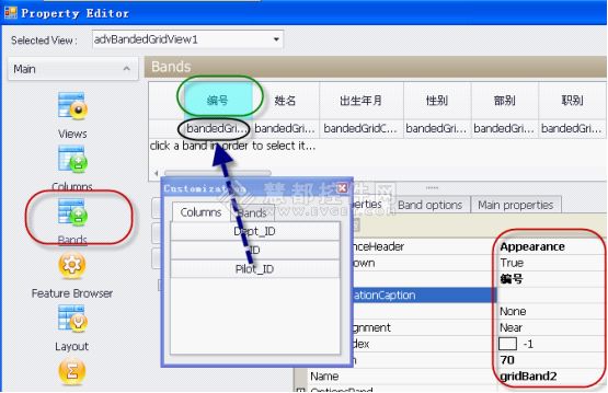 DevExpress控件开发常用要点项目总结版(二)