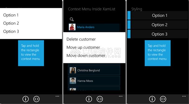 Windows Phone 8来了！NetAdvantage助您创建其APP程序