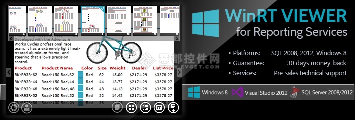 Perpetuum发布第一款支持SQL报表的WinRT查看器