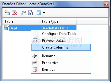 dotConnect for Oracle使用教程：数据设置编辑器的使用
