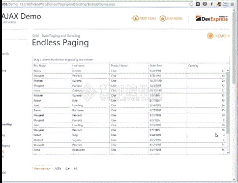 DXperience ASP.NET v2013.1独家软件界面设计预览剖析