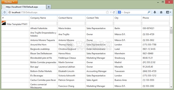 DXperience ASP.NET v2013.1独家软件界面设计预览剖析