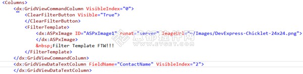 DXperience ASP.NET v2013.1独家软件界面设计预览剖析