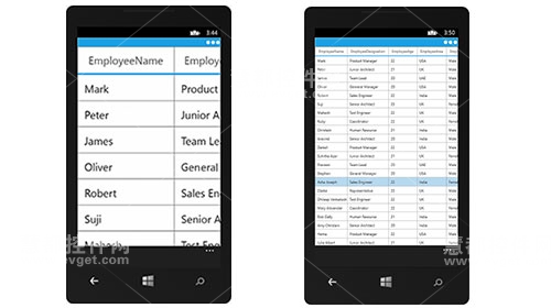 缩放,DataGrid,Essential Studio for Windows Phone,Syncfusion