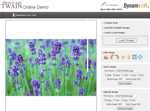 Dynamic Web TWAIN,网络TWAIN扫描,TWAIN扫描软件
