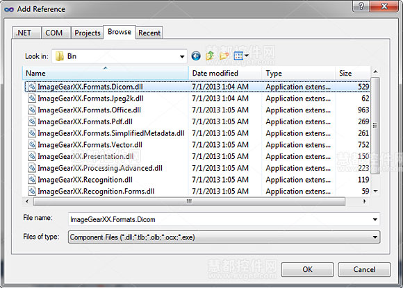 图像处理控件ImageGear for .NET教程： 添加DICOM功能（1）