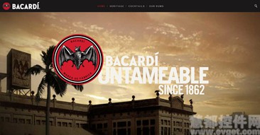 2013年11月十佳Kentico内容管理网站之Bacardi 