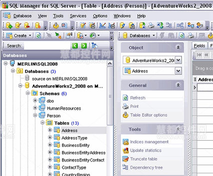 SQL Manager for SQL Server新版本新特点