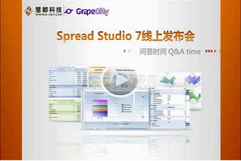 表格控件控件工具集Spread 7.0发布会问答视频